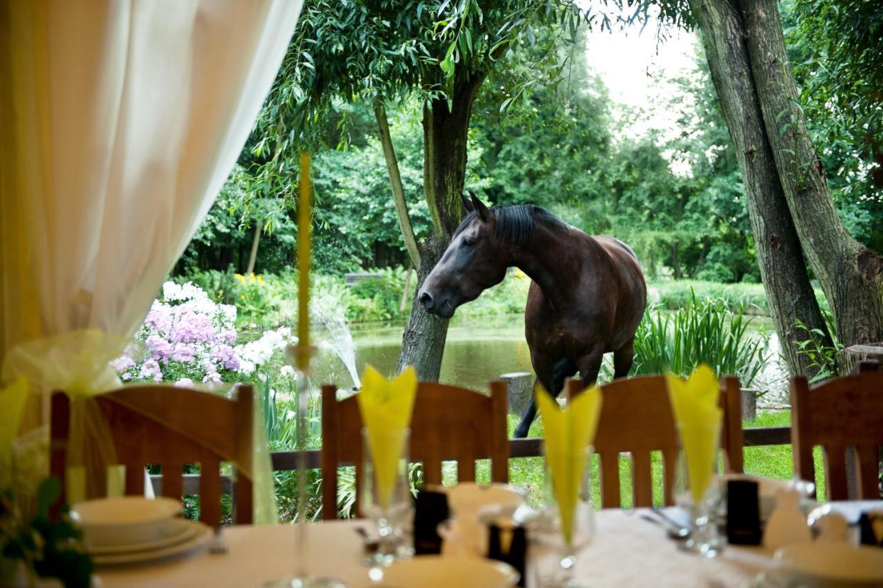 Rancho Slezanski Mlyn Szczepanów Buitenkant foto